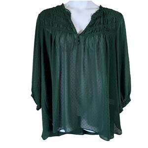 Rose & Olive Sheer Swiss Dot Top Blouse Sx 3X Green Smocked Long Sleeve Boho